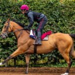 Queenstown Crowns O’Brien in Triple-Group One Masterclass