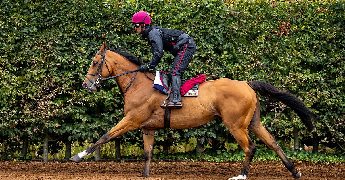 Queenstown Crowns O’Brien in Triple-Group One Masterclass