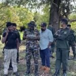 Race Against Time: Joint Forces Intensify Search for Injured Elephant Agbo