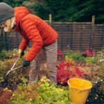 Race Against the Frost: Five Essential Tasks Your Garden Demands Before November Hits