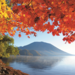 Rails to Radiance: Chasing Nikko’s Fiery Autumn Canopy by Train