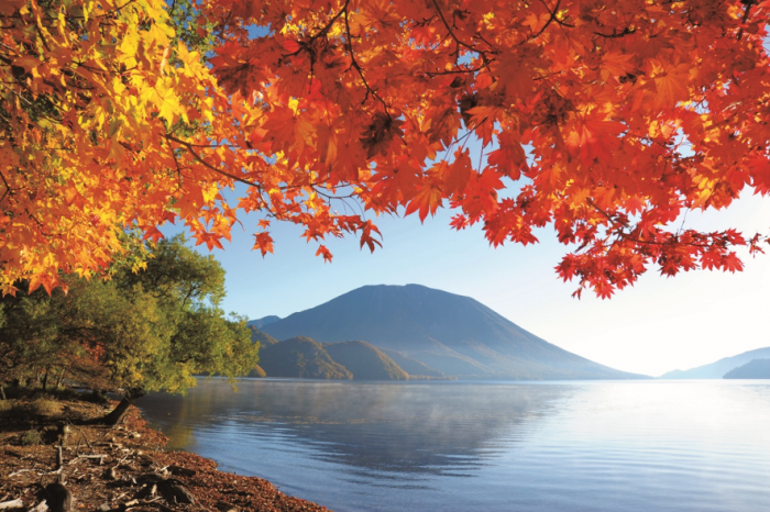Rails to Radiance: Chasing Nikko’s Fiery Autumn Canopy by Train