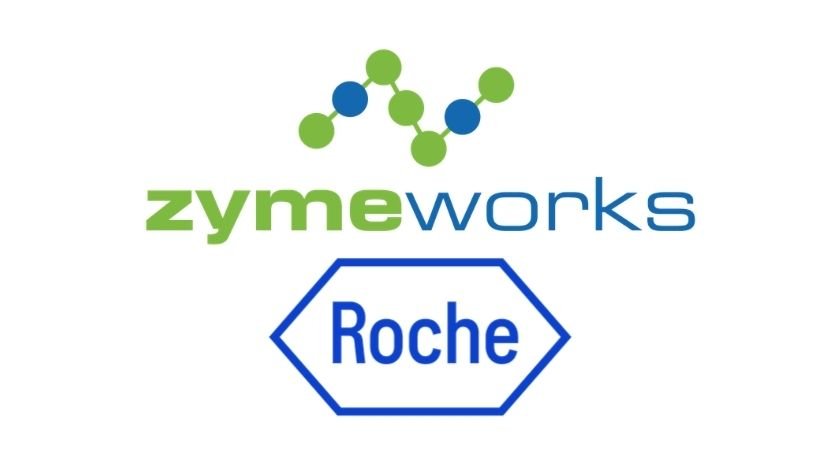 Roche Bets Big on Zymeworks’ ZW209 to Sharpen Oncology Arsenal