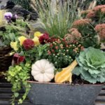 Rooted in Autumn: Transforming Your Garden for the Season Ahead