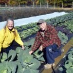 Rooted in Resilience: How Ellsworth’s Urban Oasis is Cultivating Change