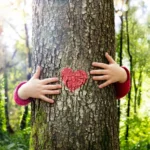 Rooted in Resolve: How Poland’s Tree Day Bloomed into a National Force