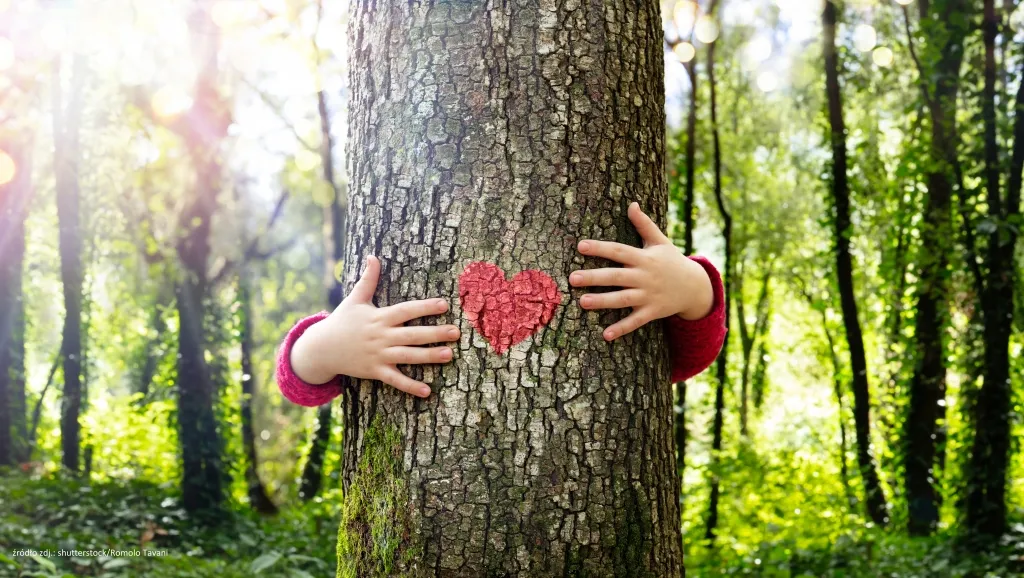 Rooted in Resolve: How Poland’s Tree Day Bloomed into a National Force