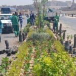 Rooting for Resilience: Minister Calls on Citizens to Cultivate a Greener Future