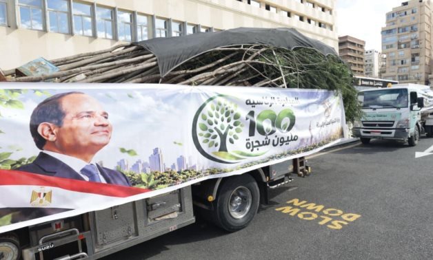 Rooting for the Future: Port Said Spearheads Fifth Wave of 100 Million Tree Initiative