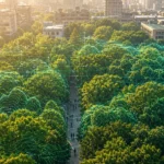Rooting for the Future: Taiwan Ministry and University Ink Landmark Urban Forest Pact