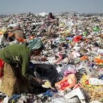 Rotting Leftovers Outpace Aviation: How Your Kitchen Waste Is Warming the Planet Faster Than Jet Fuel