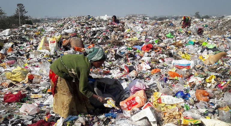 Rotting Leftovers Outpace Aviation: How Your Kitchen Waste Is Warming the Planet Faster Than Jet Fuel