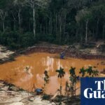 Shadow Lobbying: How US Corporate Giants Stalled Europe’s War on Deforestation
