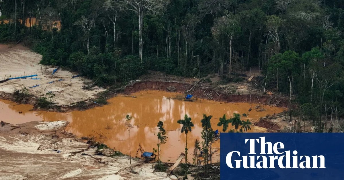Shadow Lobbying: How US Corporate Giants Stalled Europe’s War on Deforestation