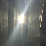 Shadows in the Bluegrass: Kentucky Woodsmen Capture Enigmatic Beast on Spotlight