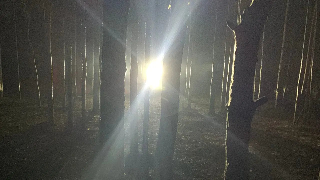 Shadows in the Bluegrass: Kentucky Woodsmen Capture Enigmatic Beast on Spotlight