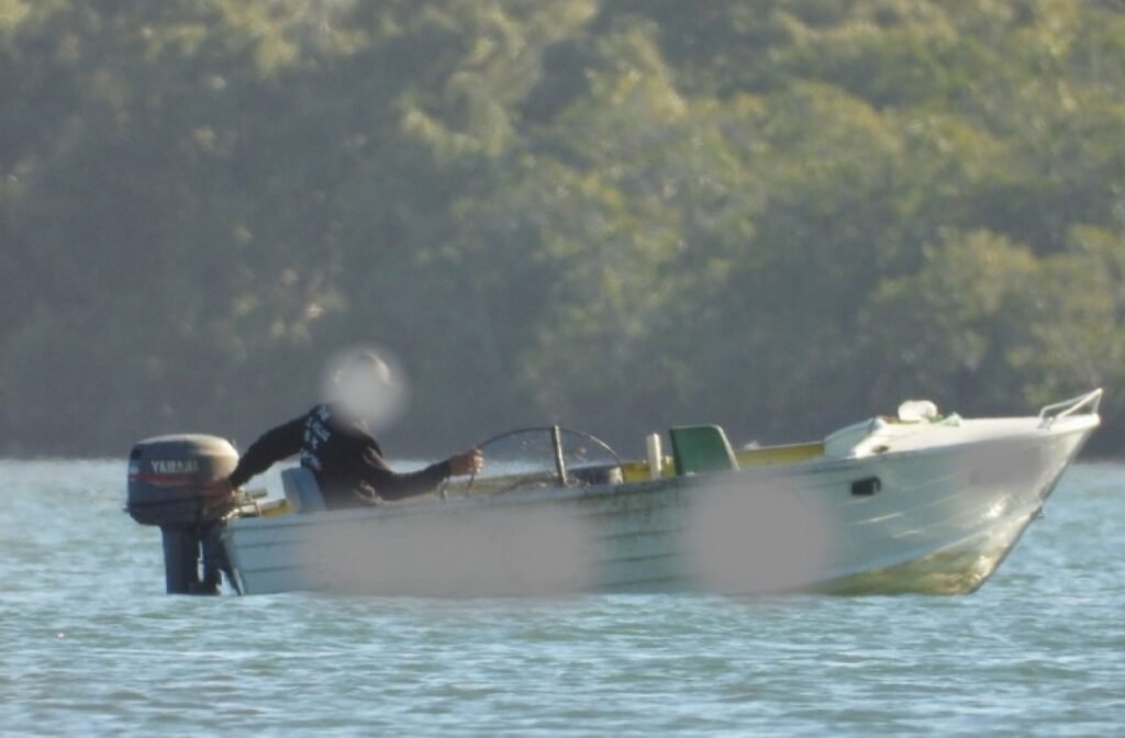 Shattered Hulls: Authorities Scuttle Black-Market Fleet in Seafood Crackdown