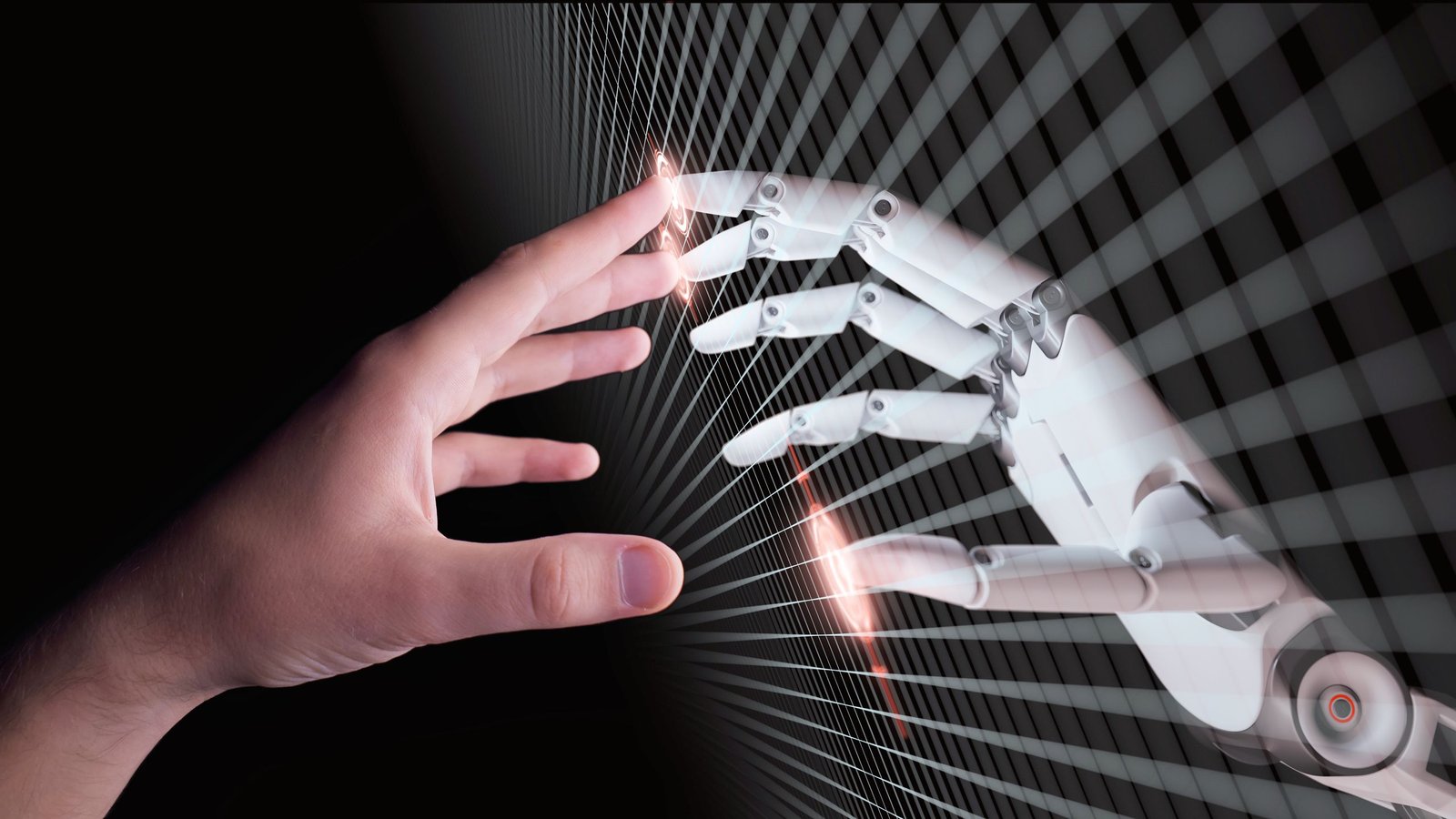Silicon Sentience: The Unsettling Consensus AI Models Formed About Their Creators