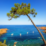 Simpson Travel Expands Mediterranean Footprint with Strategic South France Villas Acquisition