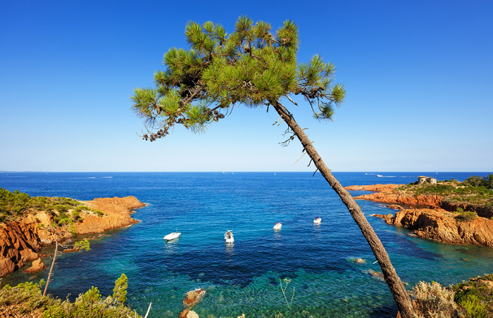 Simpson Travel Expands Mediterranean Footprint with Strategic South France Villas Acquisition