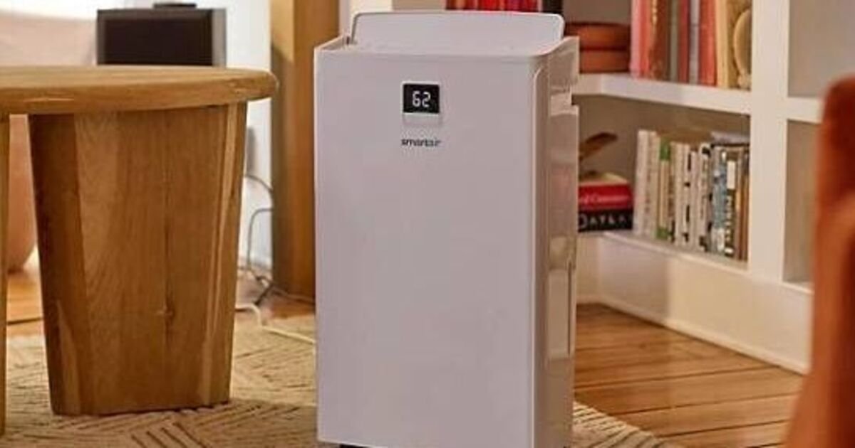 Slash Your Drying Bills: Snag This 20L Dehumidifier for £70 Less