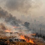 Smoke Signals: The Hidden Toll of Farm Fires on Delhi’s Choking Skies