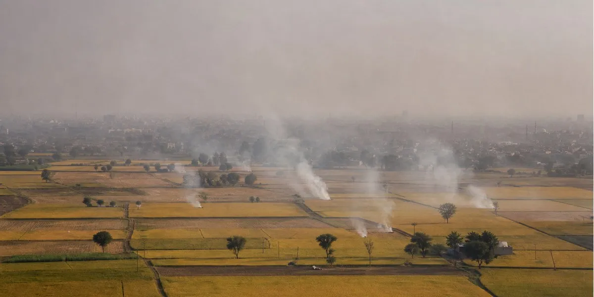 Smoldering Divide: Punjab’s Fire Crisis Outpaces India’s Hotspots Fourfold