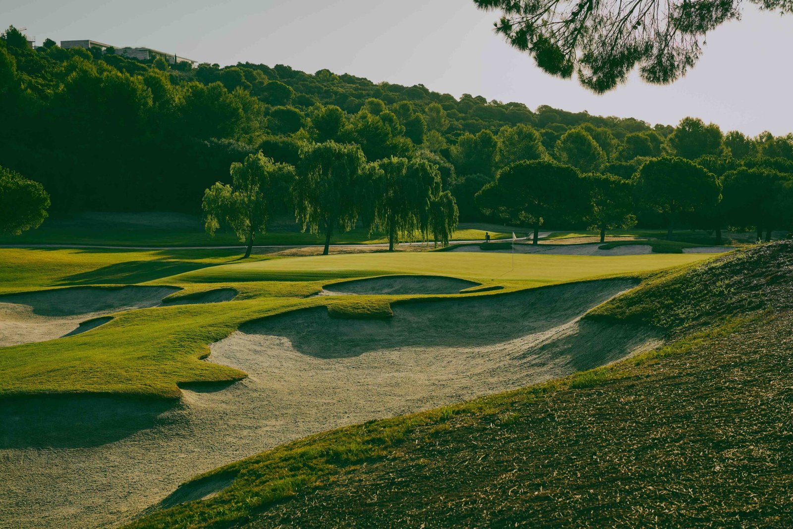 Sotogrande Unveils Roadmap to a Greener Horizon: The 2030 Sustainability Blueprint
