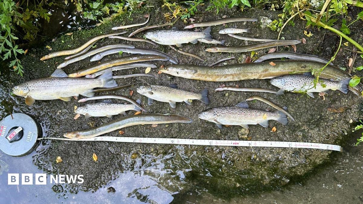 South West Water Drowning in Defiance: Utility Slapped with Bottom-Tier Environmental Rating