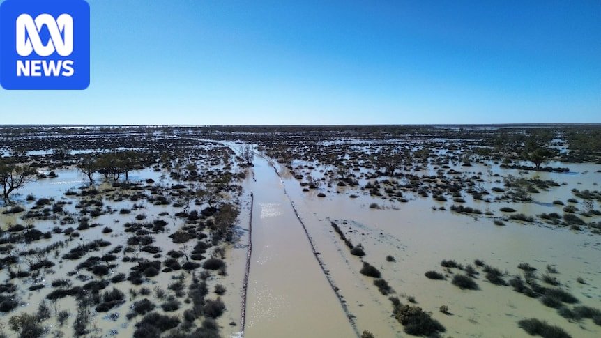 Stranded in the Dust: Outback Lifeline’s Closure Leaves Birdsville Businesses Bleeding
