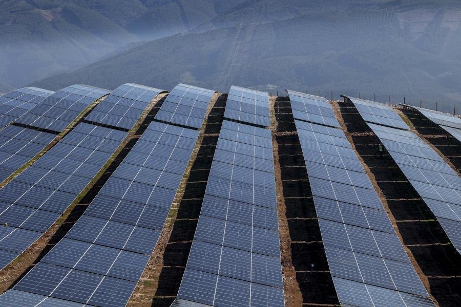 Sun-Drenched Shadows: NGOs Sound Alarm Over Revised Sophia Solar Expansion