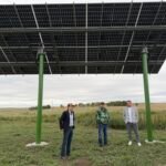 Sun, Soil, and Sovereignty: The Buffalo-Powered Revolution at Standing Rock