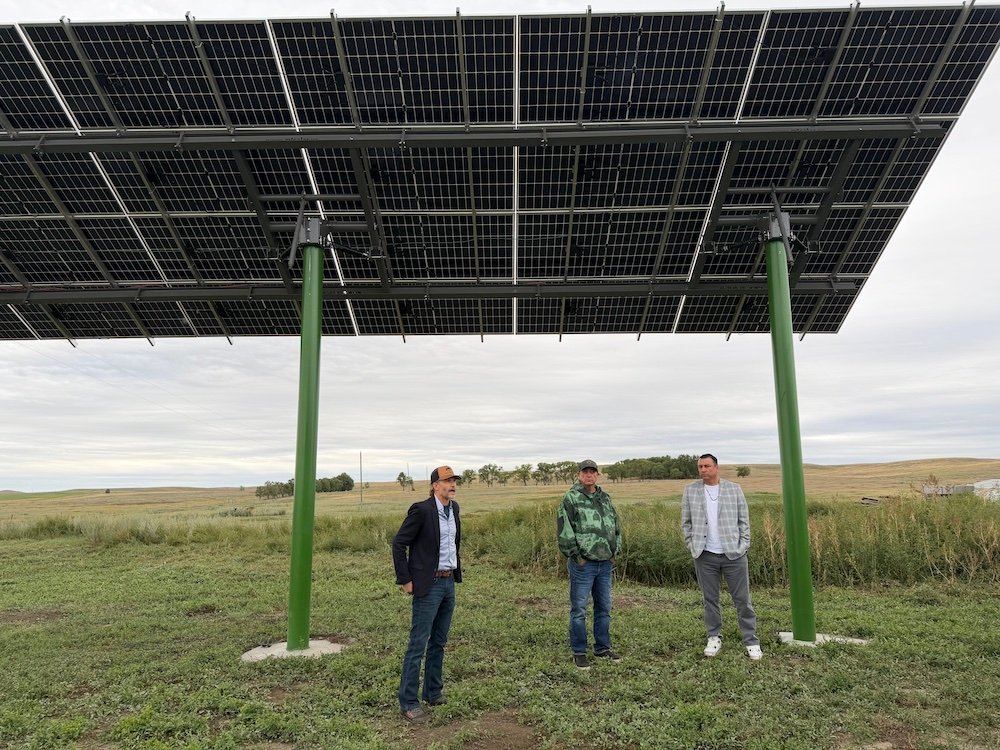 Sun, Soil, and Sovereignty: The Buffalo-Powered Revolution at Standing Rock