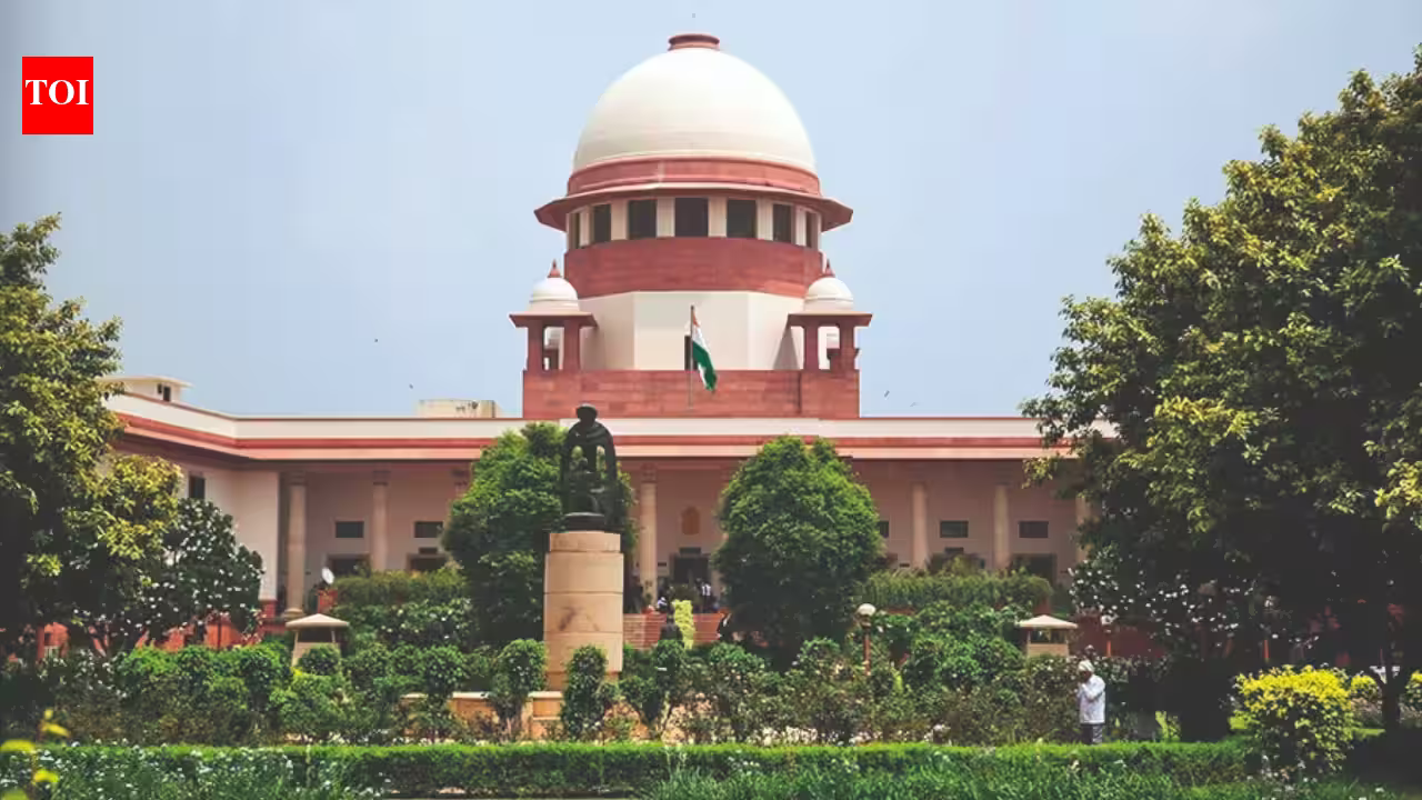 Supreme Court Freezes Madras HC Ruling on Alleged Global ‘Art Trafficker’