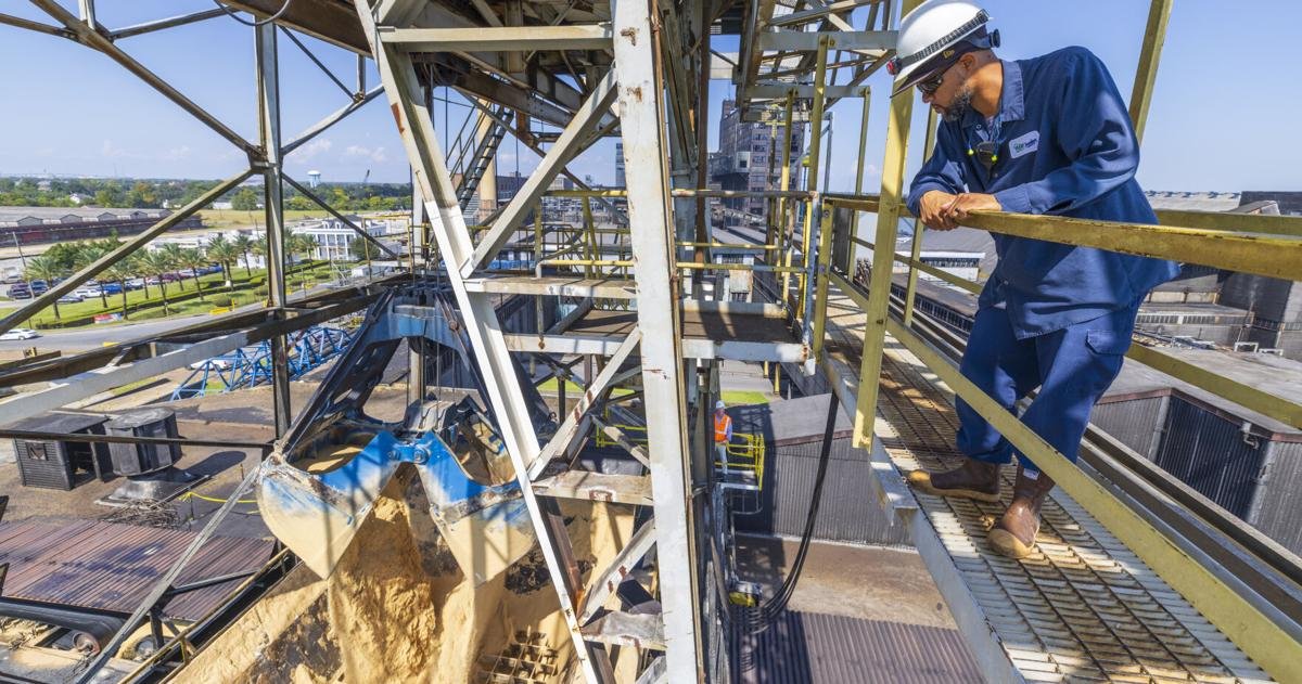 Sweet Success: Inside the Century-Old Engine Driving the World’s Largest Sugar Refinery