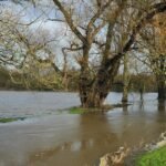 Swindon’s Rising Tide: Environment Agency Unveils High-Stakes Flood Defense Overhaul