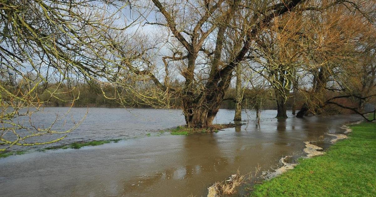 Swindon’s Rising Tide: Environment Agency Unveils High-Stakes Flood Defense Overhaul