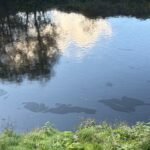 Taff Toxic Alert: Residents Warned to Steer Clear of Treforest Oil Slick