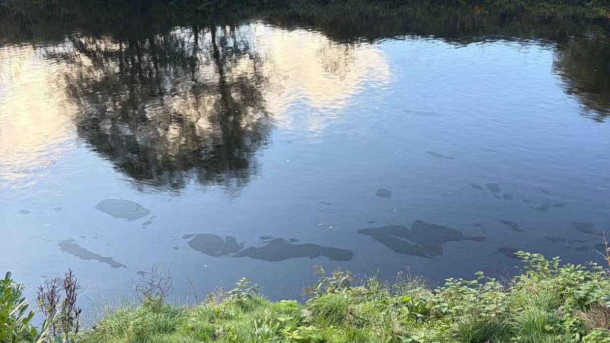 Taff Toxic Alert: Residents Warned to Steer Clear of Treforest Oil Slick