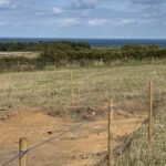 Taming the Trenches: How Equinor is Balancing Power and Preservation in Norfolk