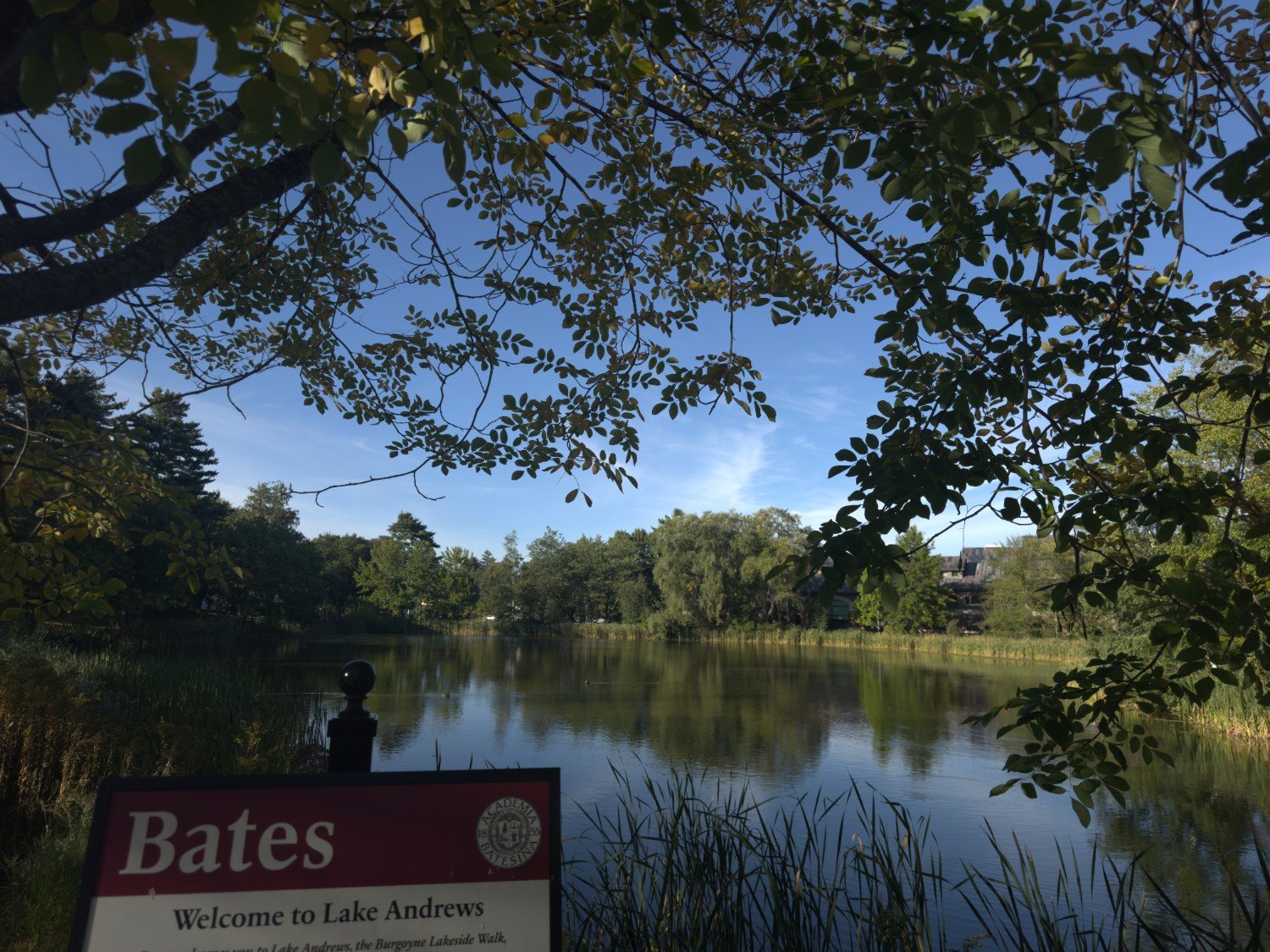 Tension at The Puddle: Unwanted Contact Sparks Campus Controversy