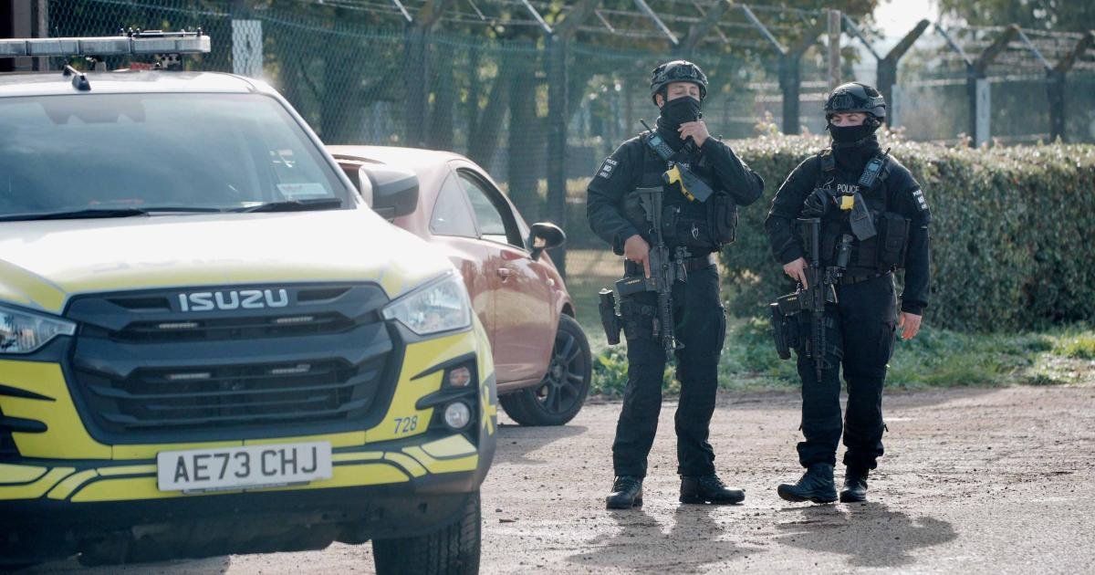 Terror Plot Resurfaces: Bomb Suspects Back in Custody Amid Ongoing Investigation