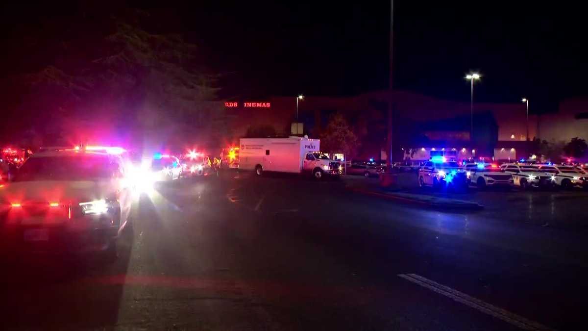 Terror at the Mall: Fairfield Police Scramble as Active Shooter Incident Grips Solano Town Center