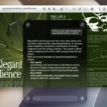 The 12GB Digital Purge: How One Open-Source Tool Reclaims Your Mac from Apple Intelligence