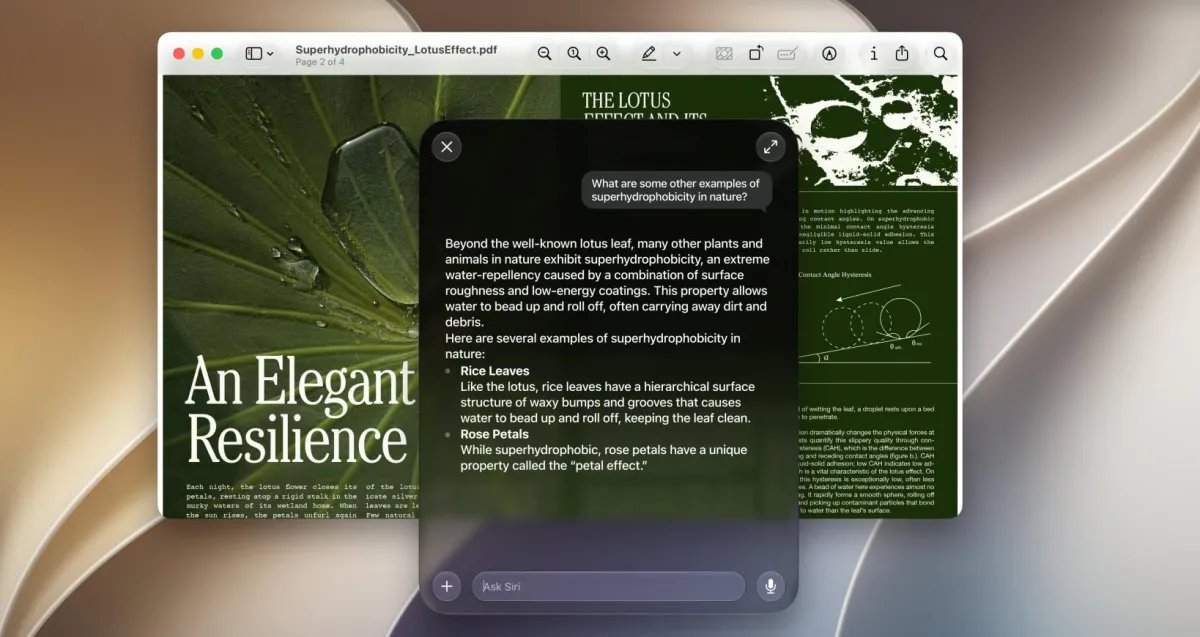 The 12GB Digital Purge: How One Open-Source Tool Reclaims Your Mac from Apple Intelligence
