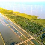 The Algorithmic Earth: Can Smart Governance Save a Planet in Peril?
