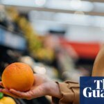 The Cost of Living Crunch: Why Your Grocery Bill and Power Grid Are Breaking the Bank
