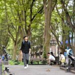 The Data-Backed Haven: Why Sendai Now Ranks as the World’s Most Livable City