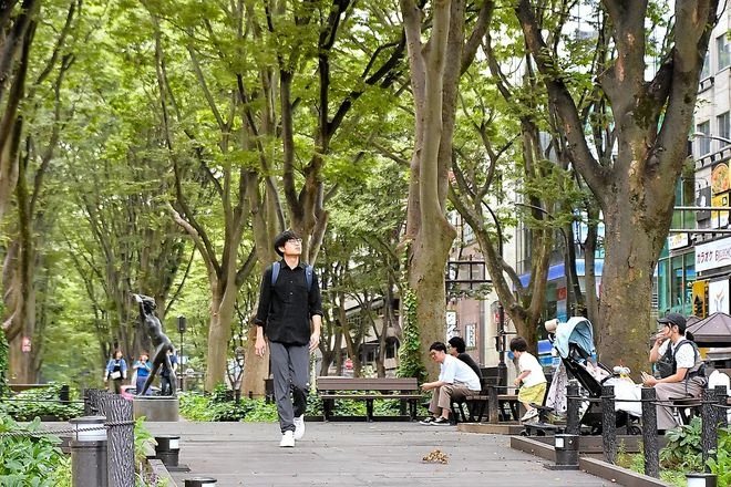 The Data-Backed Haven: Why Sendai Now Ranks as the World’s Most Livable City