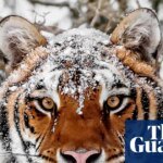 The Great Harvest Collapse: Why Earth’s Food Systems Are on the Brink of Extinction